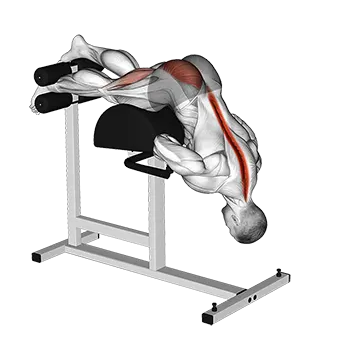 Glute Ham Single Leg Hyperextension