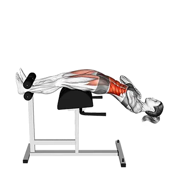 Glute Ham Sit Up