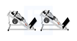 Hack Calf Raise - Guide, Benefits, and Form