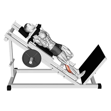 Hack One Leg Calf Raise
