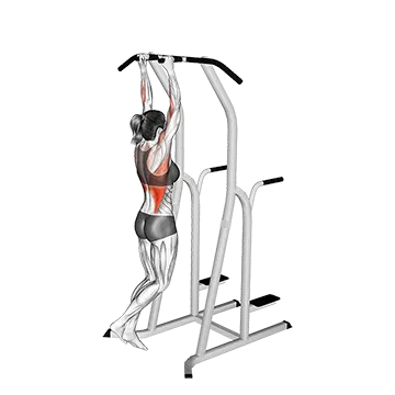 How To Do A Pull Up Hammer Grip Pull Up On Dip Cage