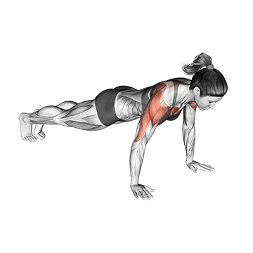 Hands Release Push Up