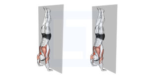 Handstand Hold on Wall - Guide, Benefits, and Form