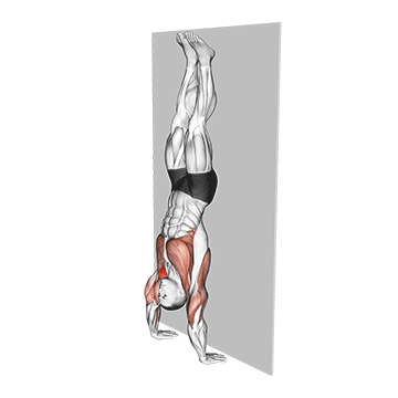 Best Gymnastics Workouts Handstand Hold On Wall