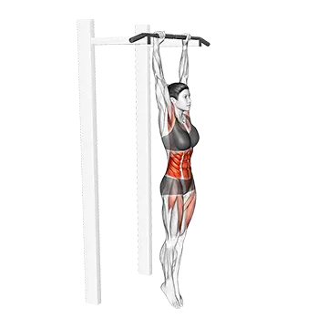 Best Hanging Ab Workouts Hanging Hollow Hold