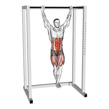 Hanging Knee Circle Raise