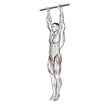 Best Gymnastics Workouts Hanging Leg Raise