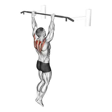 Best Hanging Ab Workouts Hanging Scapular Shrug