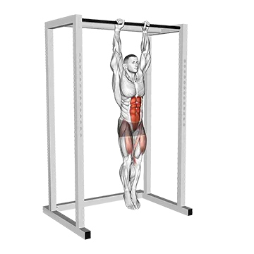 Best Hanging Ab Workouts Hanging Straight Leg Raise