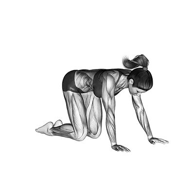 Best Quad Stretches Hero Pose Virasana