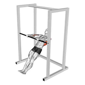 High Bar Inverted Row