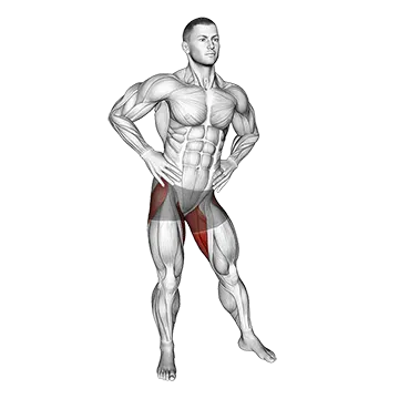 Best Hip Mobility Stretches Hip Circles Stretch