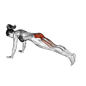 Best Hip Mobility Stretches Hip Extension Stretch