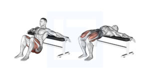 Hip Thrusts - Guide, Benefits, and Form