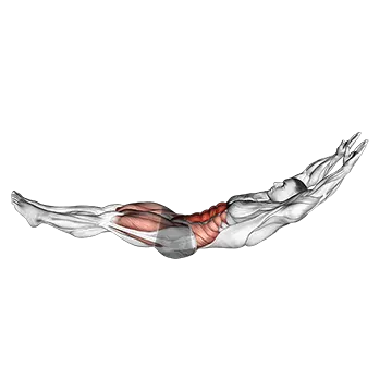 Best Calisthenics Workout Plan Hollow Hold