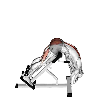 Best Bodyweight Lower Back Workouts Hyperextension