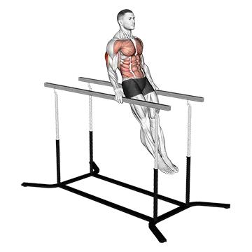 Best Bodyweight Tricep Workouts Impossible Dips
