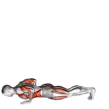 Best PreWorkout Dynamic Stretches Inchworm