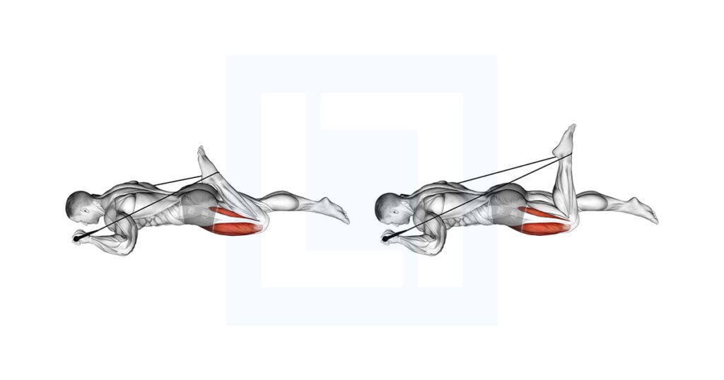 Intermediate Hip Flexor And Quad Stretch