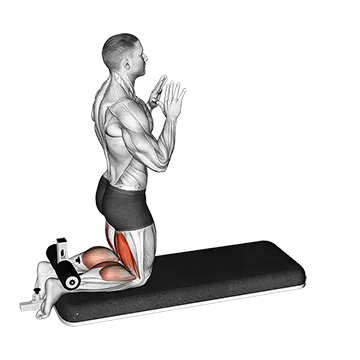 Inverse Leg Curl With Bench Pads