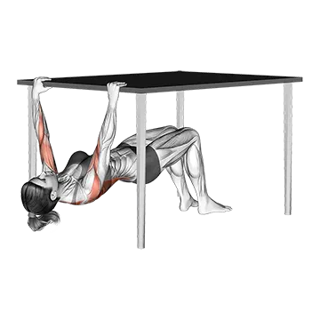 Inverted Row Bent Knee Under Table