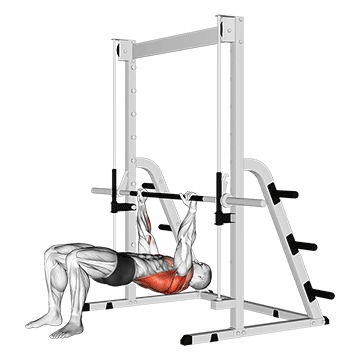 Best Bodyweight Bicep Workouts Inverted Row Bent Knees