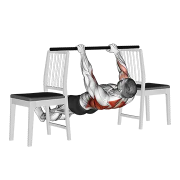 Best Bodyweight Bicep Workouts Inverted Row Between Chairs