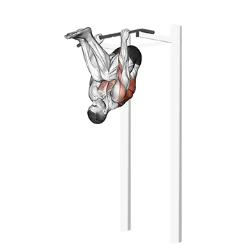 Inverted Row Ii
