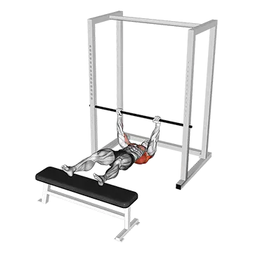 Inverted Row Slide