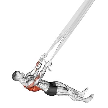 Inverted Row With Bed Sheet