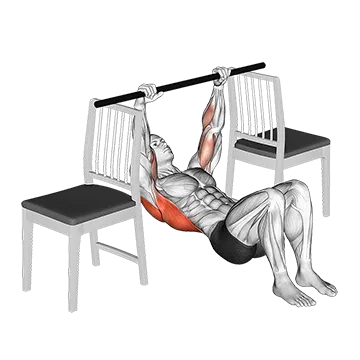Inverted Row With Bent Knee Between Chairs