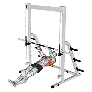Best Calisthenics Workouts Inverted Row