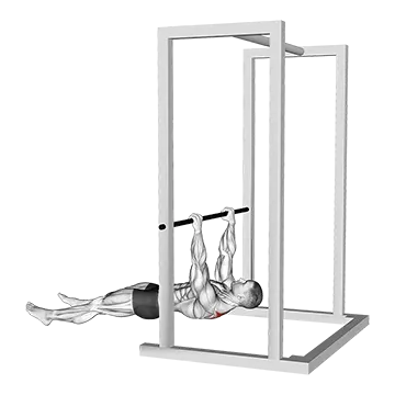 Best Bodyweight Trap Workouts Inverted Shrug