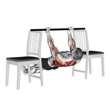 Inverted Underhand Grip Row Between Chairs