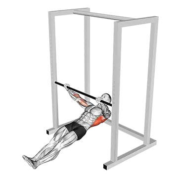 Best Bodyweight Bicep Workouts Inverted Wide To Narrow Row
