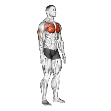 Best At Home Chest Workouts Isometric Chest Squeeze