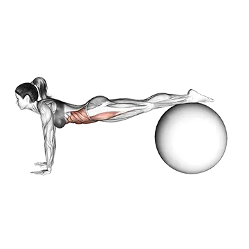 Best Stability Ball Ab Workouts Jack Knife On Ball