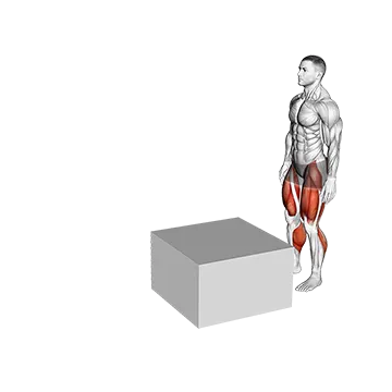 Best Workouts For Explosiveness Jump Box Over