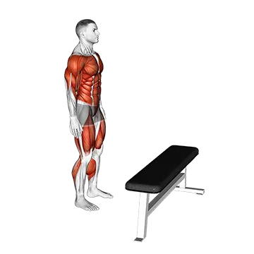 Best Gastrocnemius Exercises Jump Box