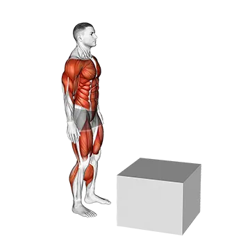 Jump on Fit Box
