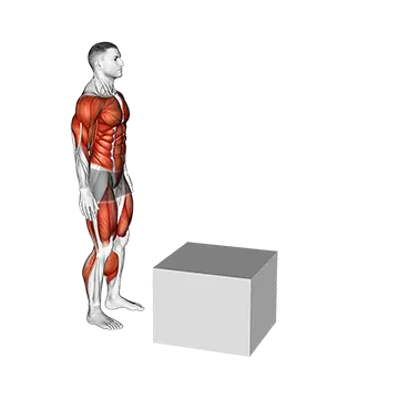 Jump Pistol Squat Box
