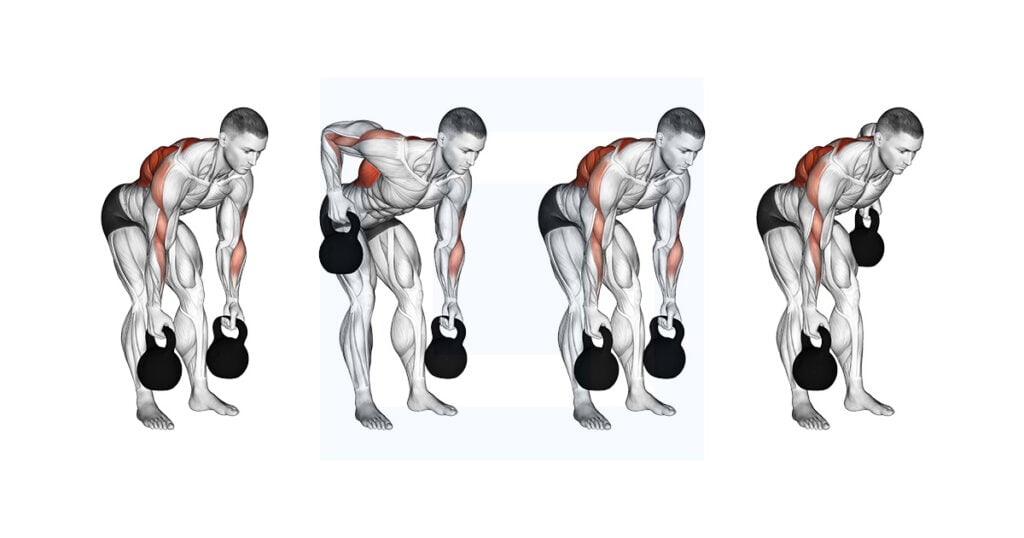 Dumbbell Bent Over Row Guide Benefits And Form Dumbbell Bent Over Row Guide Benefits And Form