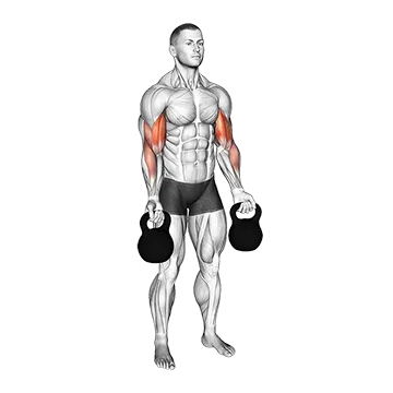 Best Kettlebell Arm Workouts Kettlebell Biceps Curl