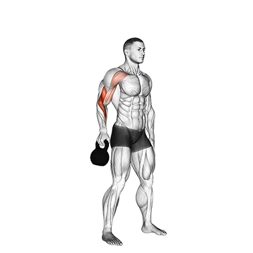 Best Kettlebell Forearm Workouts Kettlebell Bottoms Up Clean From The Hang Position