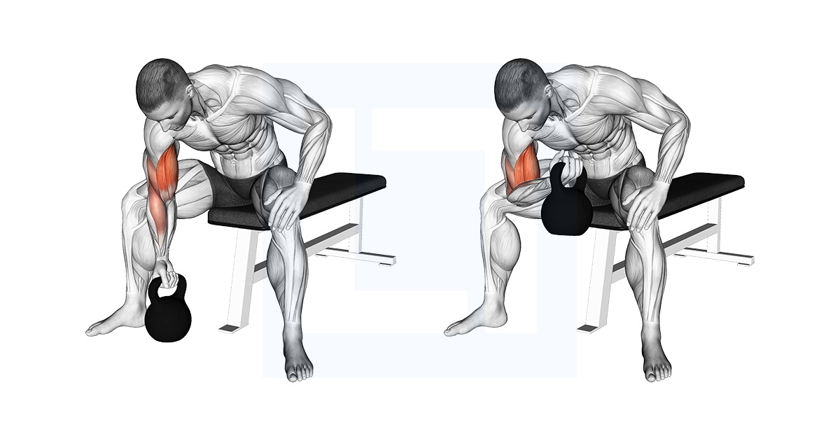 How To Do The Concentration Curl How To Do The Concentration Curl