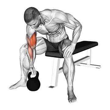 Best Kettlebell Arm Workouts Kettlebell Concentration Curl