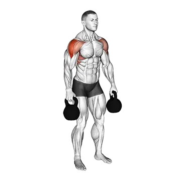 Best Side Delt Exercises Kettlebell Lateral Raise