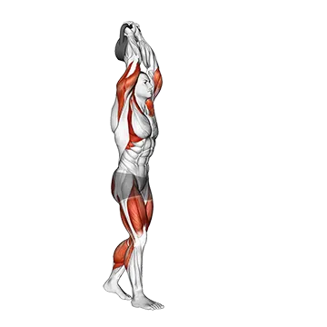 Best Kettlebell Core Workouts Kettlebell Overhead Carry
