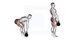 Kettlebell Romanian Deadlift - Guide, Benefits, and Form
