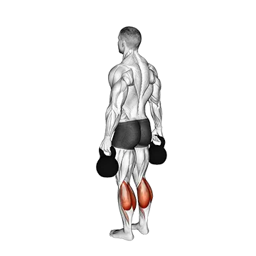 Kettlebell Standing Calf Raise